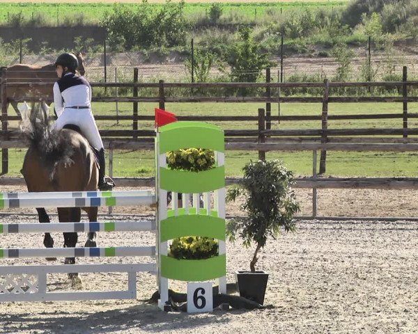 Reitturnier Worms-Pfeddersheim / Reitsportanlage Wittemer 2020