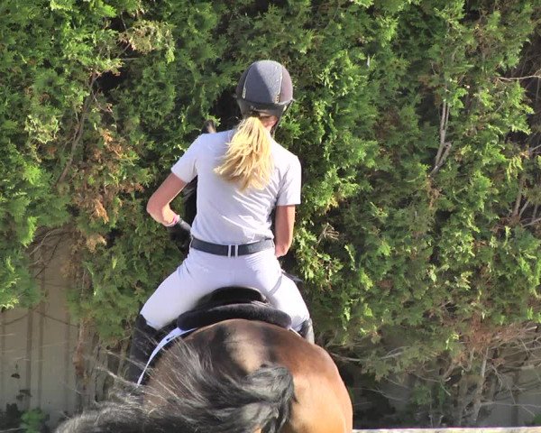 Reitturnier Worms-Pfeddersheim / Reitsportanlage Wittemer 2020