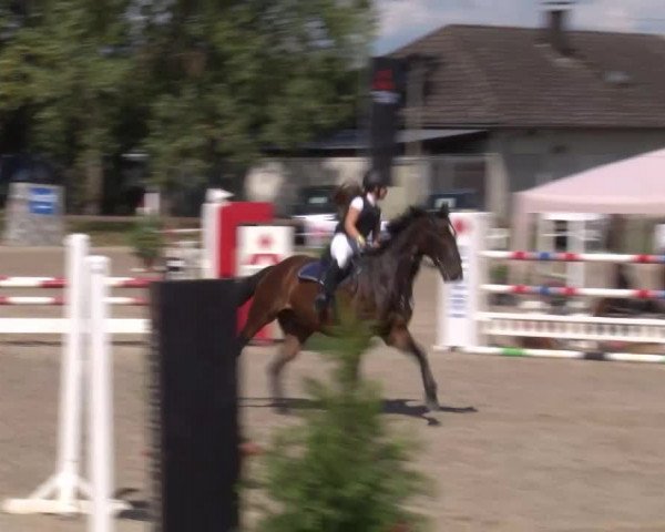 Reitturnier Kleinostheim/Ufr. 2020