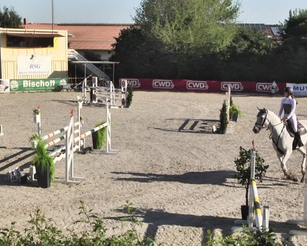 Reitturnier Worms-Pfeddersheim / Reitsportanlage Wittemer 2020