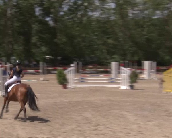 Reitturnier Kleinostheim/Ufr. 2020