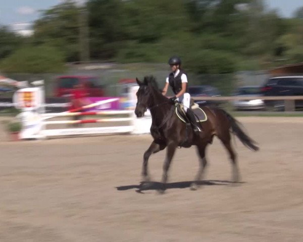 Reitturnier Kleinostheim/Ufr. 2020