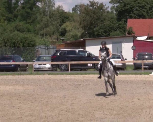 Reitturnier Kleinostheim/Ufr. 2020