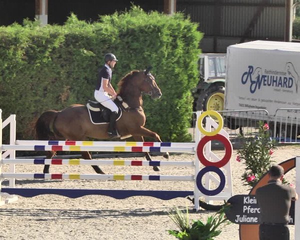 Reitturnier Worms-Pfeddersheim / Reitsportanlage Wittemer 2020