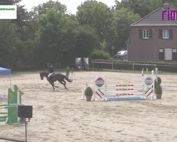 Reitturnier Goch 2020