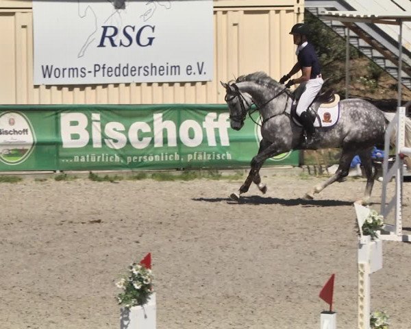 Reitturnier Worms-Pfeddersheim / Reitsportanlage Wittemer 2020