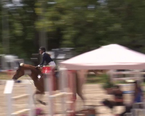 Reitturnier Kleinostheim/Ufr. 2020