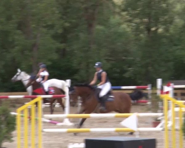 Reitturnier Kleinostheim/Ufr. 2020