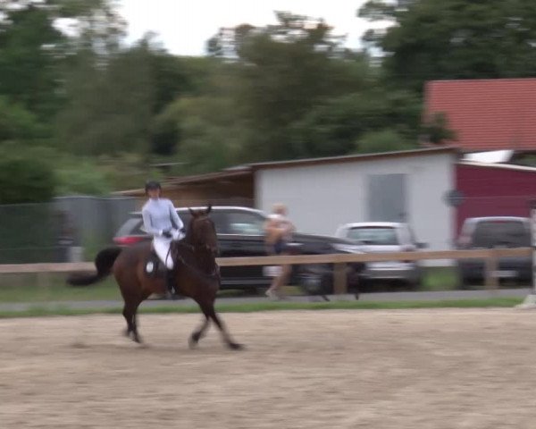Reitturnier Kleinostheim/Ufr. 2020
