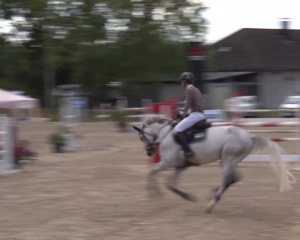 Reitturnier Kleinostheim/Ufr. 2020