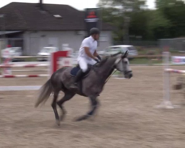 Reitturnier Kleinostheim/Ufr. 2020