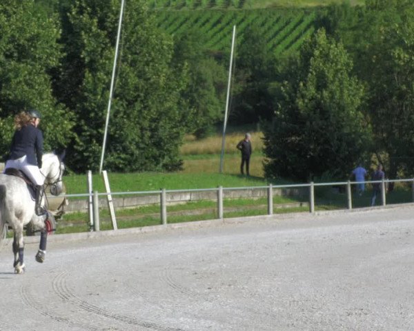 Reitturnier Weilheim/Teck 2020