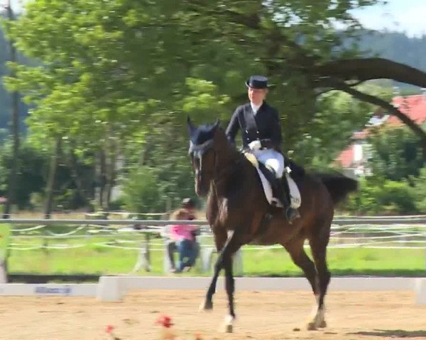Reitturnier Babenhausen/Schw. 2020
