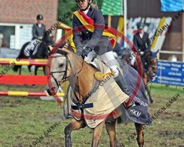jumper Miss Moneypenny 34 (German Riding Pony, 2001, from Mentos)