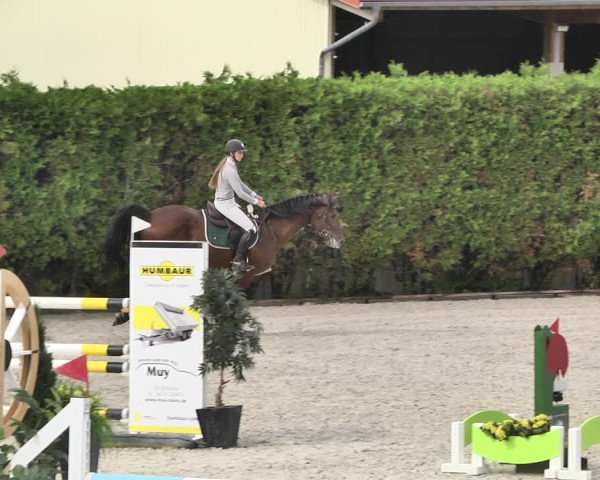 Reitturnier Worms-Pfeddersheim / Reitsportanlage Wittemer 2020