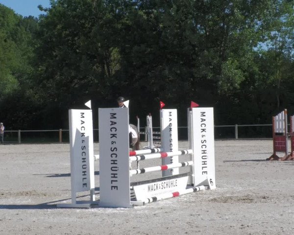 Reitturnier Weilheim/Teck 2020