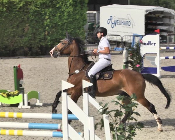 Reitturnier Worms-Pfeddersheim / Reitsportanlage Wittemer 2020