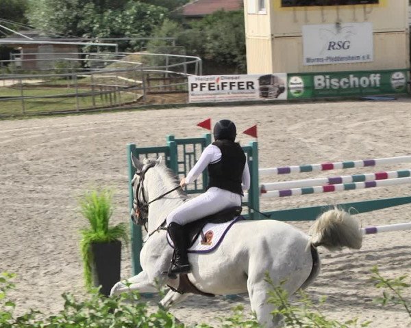 Reitturnier Worms-Pfeddersheim / Reitsportanlage Wittemer 2020