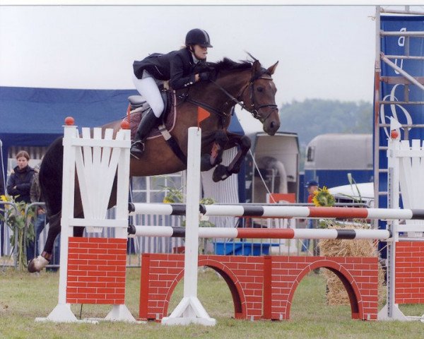 broodmare Curly-Sue 2 (Oldenburg, 1995, from Conners)