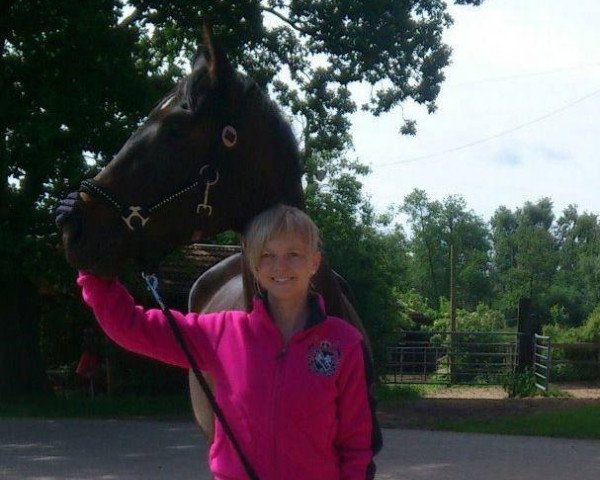 broodmare Herbst Sonate (Trakehner, 2009, from Hibiskus)