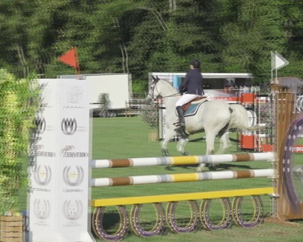 Reitturnier Kappelen-Lyss 2020