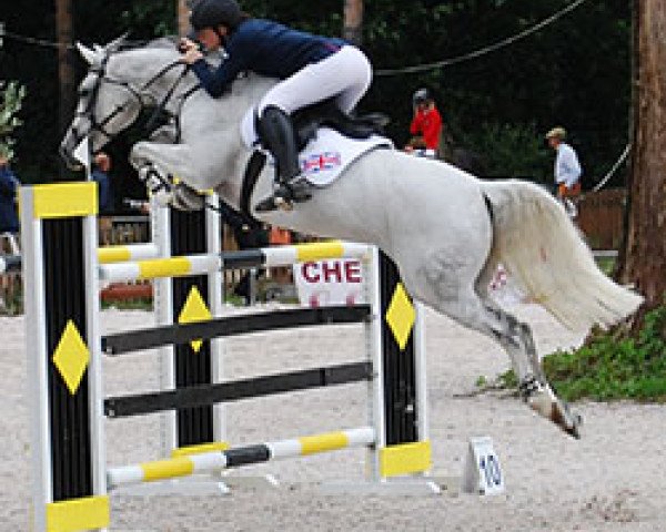 jumper Falaza (unknown, 2001, from Libro)