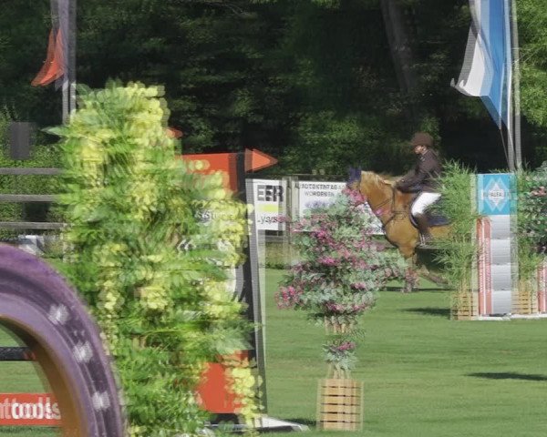 Reitturnier Kappelen-Lyss 2020