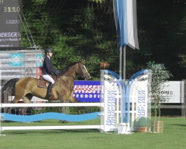 Reitturnier Kappelen-Lyss 2020