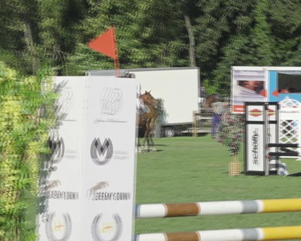 Reitturnier Kappelen-Lyss 2020