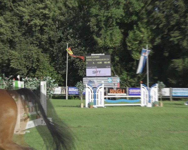 Reitturnier Kappelen-Lyss 2020