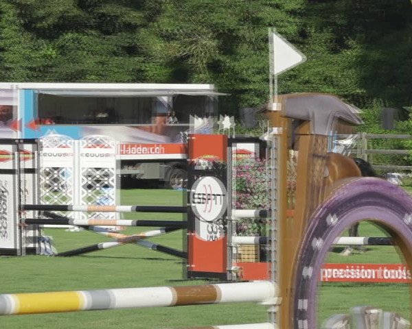 Reitturnier Kappelen-Lyss 2020