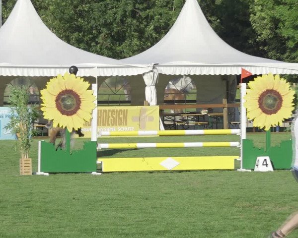 Reitturnier Kappelen-Lyss 2020