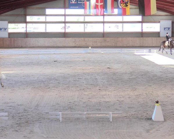 Reitturnier Süderlügum 2020