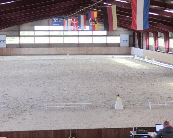 Reitturnier Süderlügum 2020