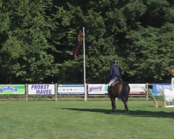 Reitturnier Kappelen-Lyss 2020