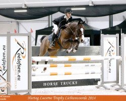jumper Kleber du Hardrais (French Pony, 1998, from Kalem ox)