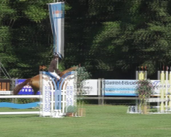 Reitturnier Kappelen-Lyss 2020