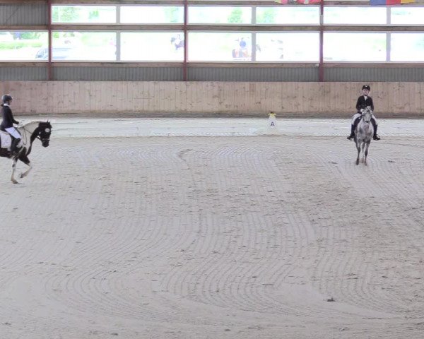 Reitturnier Süderlügum 2020