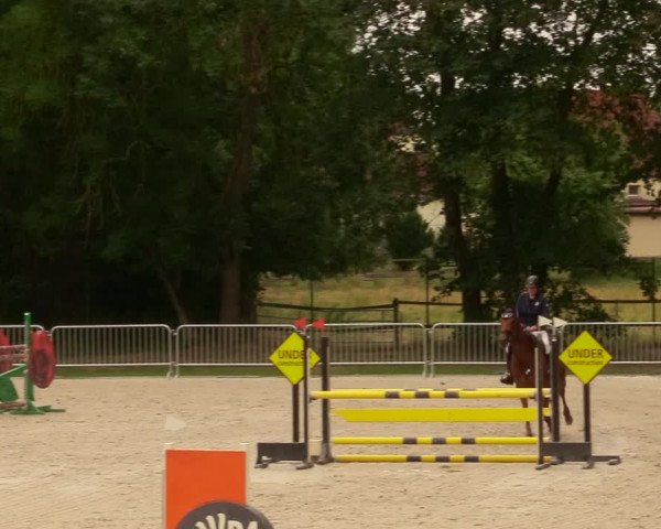 Reitturnier Prussendorf 2020