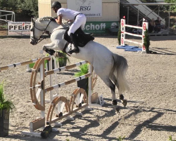 Reitturnier Worms-Pfeddersheim / Reitsportanlage Wittemer 2020