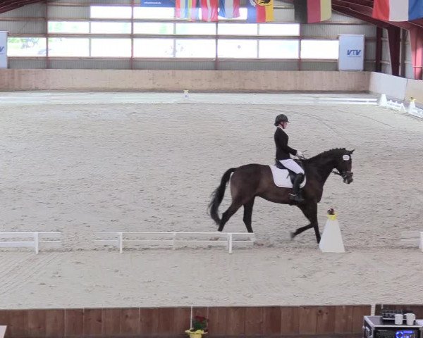 Reitturnier Süderlügum 2020