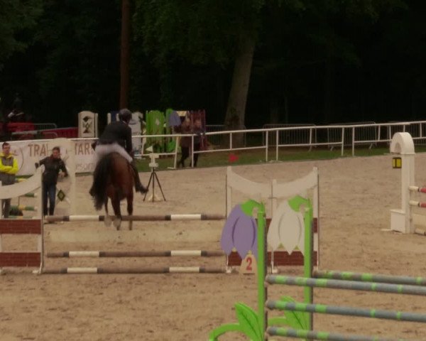 Reitturnier Prussendorf 2020