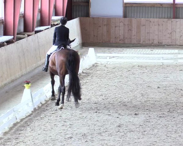 Reitturnier Süderlügum 2020