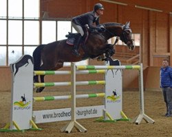 stallion For Cornet (Hanoverian, 2007, from For Pleasure)