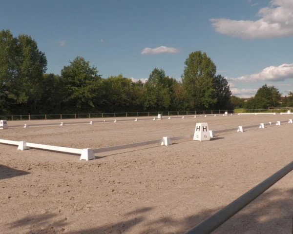 Reitturnier Weilheim/Teck 2020