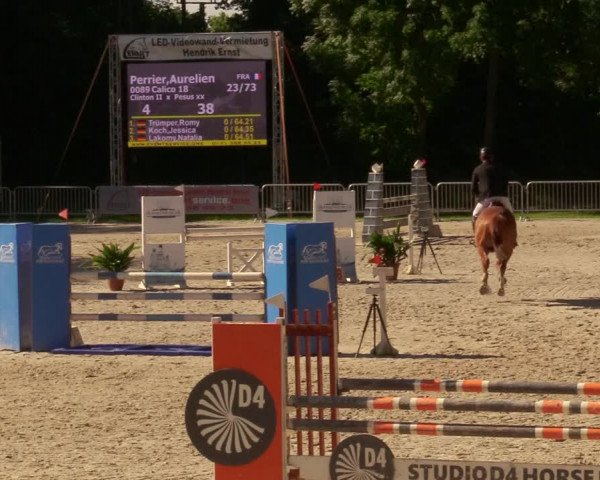 Reitturnier Prussendorf 2020