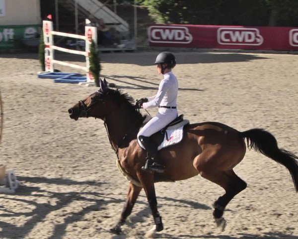 Reitturnier Worms-Pfeddersheim / Reitsportanlage Wittemer 2020