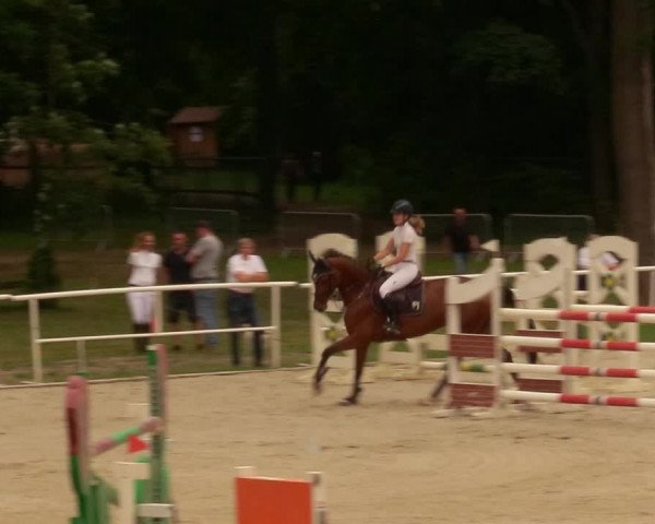 Reitturnier Prussendorf 2020