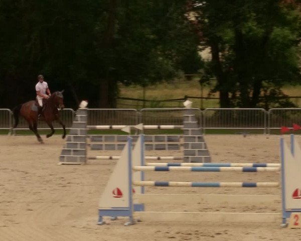 Reitturnier Prussendorf 2020