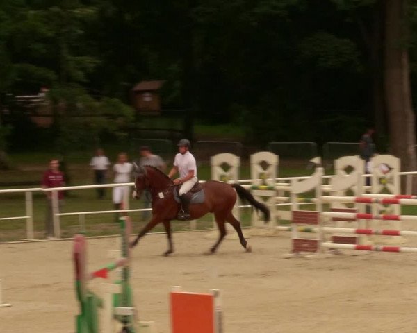 Reitturnier Prussendorf 2020